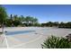 Outdoor basketball court surrounded by mature trees and greenery at 21047 N Alma Dr, Maricopa, AZ 85138
