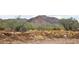 Scenic views of the property's natural desert landscape with majestic mountains in the background at 2669 S Southfork Ranch Rd, Gold Canyon, AZ 85118