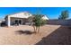 Backyard featuring gravel landscape, patio and a tree, offering a private outdoor retreat at 7749 W Florence Ave, Phoenix, AZ 85043