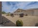 Landscaped backyard featuring desert landscaping and privacy wall at 9142 E La Posada Ct, Scottsdale, AZ 85255