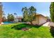 Large backyard view featuring pool, desert landscaping, palms and a fire pit at 1434 W Meseto Ave, Mesa, AZ 85202