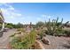 This landscaped backyard features a fire pit, desert plants, and a seating area for outdoor enjoyment at 20453 N 264Th Ave, Buckeye, AZ 85396