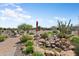 This landscaped backyard features a beautiful rock waterfall and desert plants at 20453 N 264Th Ave, Buckeye, AZ 85396