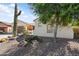 Desert landscaping in the front yard with barrel cactus, saguaro, and a mature shade tree at 20453 N 264Th Ave, Buckeye, AZ 85396