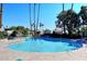 Community pool surrounded by lounge chairs, palm trees, and lush landscaping at 25 E San Miguel E Ave, Phoenix, AZ 85012