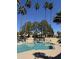 Community pool surrounded by lounge chairs, tables, and towering palm trees at 8302 N 21St Dr # L204, Phoenix, AZ 85021