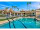 Stunning backyard pool area with clear blue water, palm trees, and a secured fence at 8712 N 64Th Pl, Paradise Valley, AZ 85253