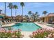 Community pool surrounded by palm trees and lounge chairs offering a relaxing oasis at 1024 E Frye Rd # 1063, Phoenix, AZ 85048