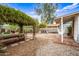 Spacious backyard featuring a vine-covered pergola, hammock, and lounge area at 1910 W Holly St, Phoenix, AZ 85009