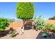 Backyard sitting area, desert landscaping, and mature shade tree at 19672 N 260Th Ave, Buckeye, AZ 85396