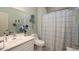Bright bathroom features a modern sink, a decorative shower curtain, and stylish wall decorations at 19672 N 260Th Ave, Buckeye, AZ 85396
