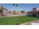 Backyard features a green lawn, a block fence, and mature palm trees at 3620 N Aspen Dr, Avondale, AZ 85392