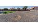 Expansive backyard featuring a rock landscape, mature palm trees, and a privacy fence at 3620 N Aspen Dr, Avondale, AZ 85392
