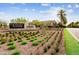 Desert Ridge Marketplace sign with fountain feature and manicured landscaping at 5848 E Covey Ln, Phoenix, AZ 85054