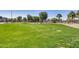 Expansive green space with picnic tables for outdoor community enjoyment at 734 E Doral Ave # 202, Gilbert, AZ 85297