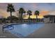 Resort-style community pool with palm trees and poolside lounge seating at 734 E Doral Ave # 202, Gilbert, AZ 85297