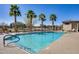 Community pool surrounded by palm trees, lounge chairs, and fenced perimeter at 734 E Doral Ave # 202, Gilbert, AZ 85297
