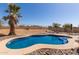 Backyard pool features desert landscaping and a palm tree, creating a relaxing outdoor oasis at 10287 S 175Th Ave, Goodyear, AZ 85338