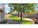 The green backyard is complete with lawn, mature trees and block privacy fence at 1633 W Andorra Dr, Phoenix, AZ 85029