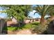 Mature backyard features well-maintained landscaping and desert landscaping at 1633 W Andorra Dr, Phoenix, AZ 85029
