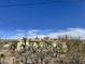 Exterior shot of a home with desert plants in the foreground and a blue sky above at 3200 S Mesa Rd, Winkelman, AZ 85192