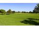 Lush green lawn with mature trees providing ample shade in a well-maintained park setting, perfect for families at 6323 E Nisbet Rd, Scottsdale, AZ 85254