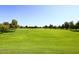 Expansive green space with mature trees and well-maintained lawn, perfect for outdoor recreation and leisure at 6323 E Nisbet Rd, Scottsdale, AZ 85254
