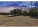 Large backyard with mature trees and desert landscaping, offering privacy and space for outdoor enjoyment at 7015 S Stadium Ct, Gilbert, AZ 85298
