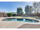 Inviting in-ground pool surrounded by a well-kept lawn and mature trees at 7015 S Stadium Ct, Gilbert, AZ 85298