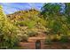 Scenic hiking trail view amidst desert vegetation and rocky hillsides, with a sign marking 