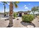 Inviting single-story home with a well-kept desert-landscaped front yard and mature palm trees at 21141 E Stirrup St, Queen Creek, AZ 85142