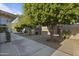 Spacious backyard showcasing rock landscaping, greenery, mature trees, and a side walkway at 445 S Omaha --, Mesa, AZ 85206