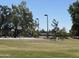 Outdoor basketball court surrounded by mature trees, offering recreational space at 519 W Palomino Dr, Chandler, AZ 85225