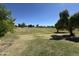 Open grassy field within a park, featuring mature trees and a chain-link fence at 519 W Palomino Dr, Chandler, AZ 85225