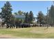playground surrounded by mature trees offering a playful and safe outdoor environment at 519 W Palomino Dr, Chandler, AZ 85225