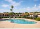 Community pool with lounge chairs, clear blue water, palm trees, and colorful landscaping at 5342 S Farmer Ave, Tempe, AZ 85283