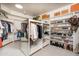 Spacious walk-in closet with custom shelving and ample storage for clothes, shoes, and accessories at 8817 N 58Th Pl, Paradise Valley, AZ 85253