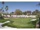 Putting green and pickleball court amidst mature trees offering a serene atmosphere for sports at 8817 N 58Th Pl, Paradise Valley, AZ 85253