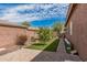 A serene backyard features a narrow lawn, trees, and manicured landscaping, offering a private outdoor space at 13146 S 178Th Ave, Goodyear, AZ 85338