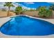 Refreshing pool with a cleaner, surrounded by low-maintenance landscaping and privacy walls at 21 W Pecan Pl, Tempe, AZ 85284