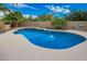 Backyard pool surrounded by palm trees offers a private oasis for relaxing and enjoying the desert climate at 21 W Pecan Pl, Tempe, AZ 85284