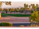 Scenic golf course landscape featuring desert vegetation, palm trees, and mountain views on a clear day at 23116 N Del Monte Dr, Sun City West, AZ 85375