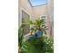 This enclosed patio offers plants, greenery, and an area to relax at 2910 E Avenida Olivos --, Phoenix, AZ 85016
