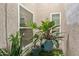 Outdoor patio filled with potted plants and natural light at 2910 E Avenida Olivos --, Phoenix, AZ 85016