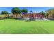 A colorful community playground on a lush green lawn surrounded by mature trees and desert landscaping at 35317 N 31St Dr, Phoenix, AZ 85086