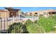 Community pool area with a covered patio, lush greenery, and a wrought iron fence at 4241 N Pebble Creek Pkwy # 54, Goodyear, AZ 85395