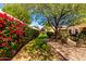 Beautiful backyard with lush greenery, vibrant bougainvillea, and a charming walking path at 8850 W Piute Ave, Peoria, AZ 85382