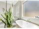 Bright bathroom showcasing a modern walk-in shower and soaking tub beside a frosted window at 10431 E Tiger Lily Ave, Mesa, AZ 85212