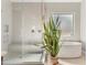 Bright bathroom showcasing a walk-in shower with bench and soaking tub, with a lush potted plant accenting the space at 10431 E Tiger Lily Ave, Mesa, AZ 85212