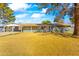 Charming single-story home featuring a large front yard with mature trees and a covered carport at 11446 W Hidalgo Ave, Tolleson, AZ 85353